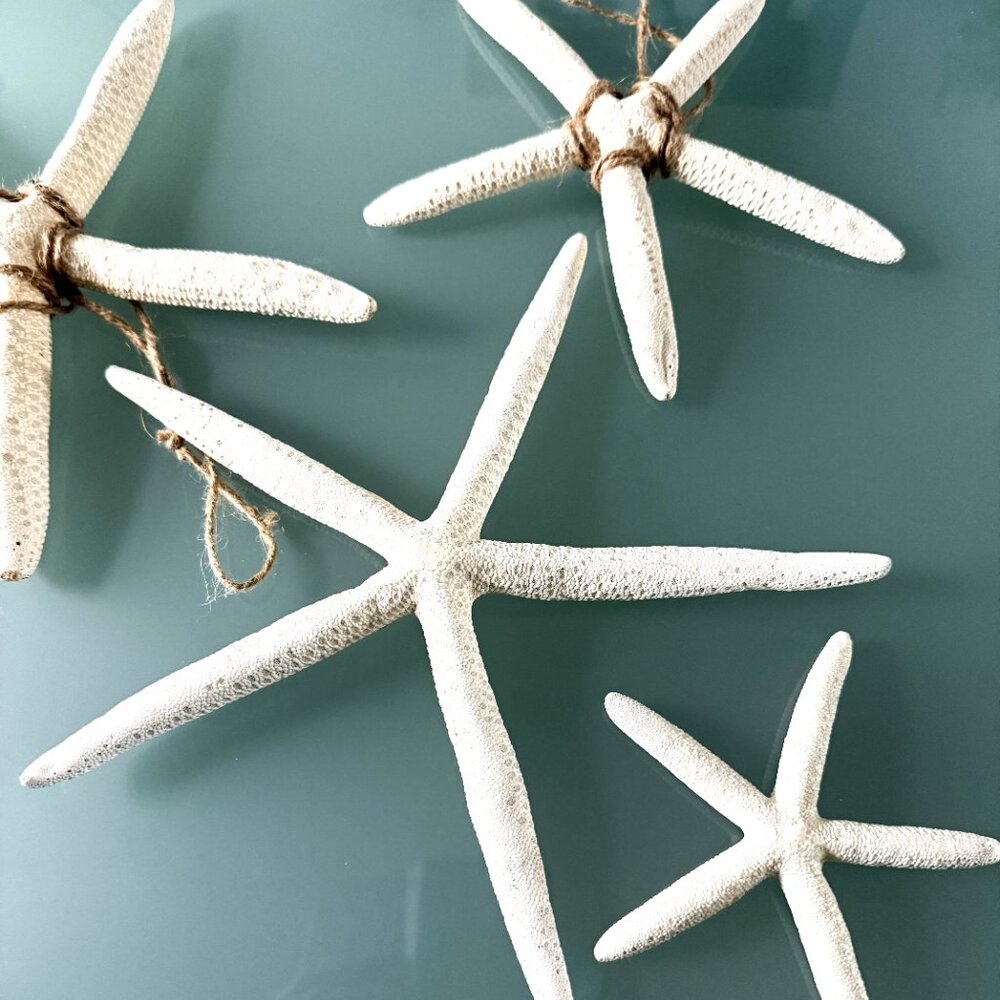 Bohemian Starfish Lot of 4 White Large Ornament Boho Decoration Seashell - Picture 2 of 9